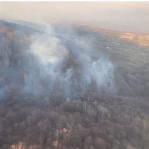 Incendiile de vegetație din șapte județe provoacă victime