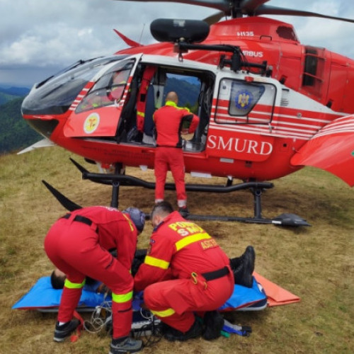 Cioban rănit grav în timp ce încerca să alunge un urs. Petarda folosită la îndepărtarea animalului i-a explodat în mână