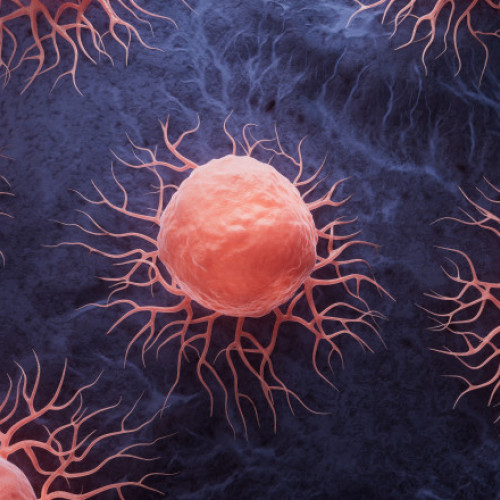 Mutația genetică „subtilă” care-i face pe oameni vulnerabili la cancer. Explicația cercetătorilor și comparația cu alte primate